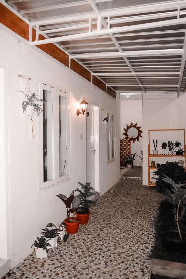 Tropical Paradiso Homestay 外南梦 外观 照片